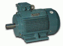 Y2系列三相異步電動(dòng)機(jī)